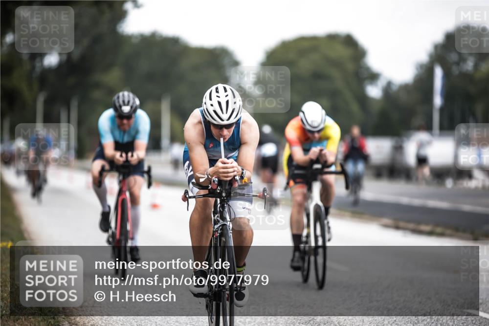 16.08.2026 - KN Förde Triathlon 2026 H.Heesch http://msf.ph/oto/9977979 16.08.2026 11:23:16 Radfahren 386, 398, 403, 411, 430 meine-sportfotos.de