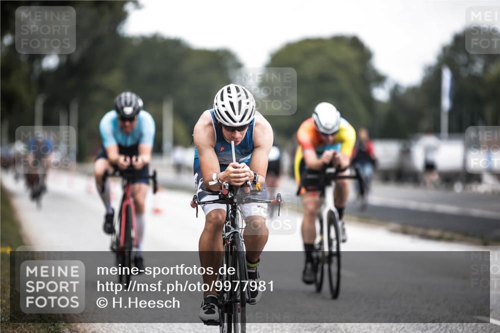 16.08.2026 - KN Förde Triathlon 2026 H.Heesch http://msf.ph/oto/9977981 16.08.2026 11:23:16 Radfahren 386, 398, 403, 411, 430 meine-sportfotos.de
