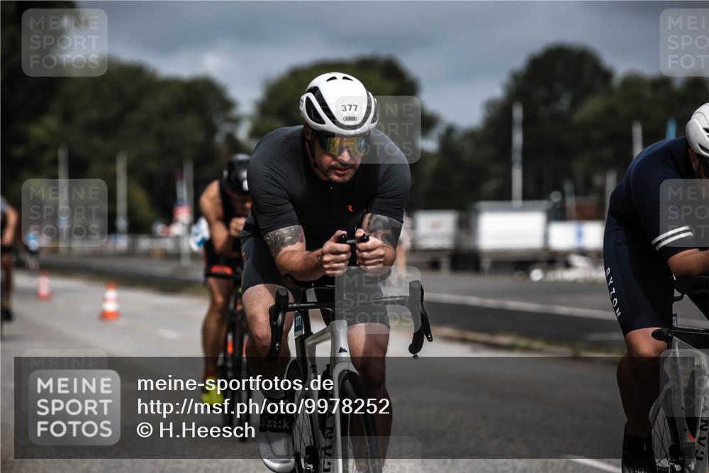 16.08.2026 - KN Förde Triathlon 2026 H.Heesch http://msf.ph/oto/9978252 16.08.2026 11:31:35 Radfahren 377, 395 meine-sportfotos.de
