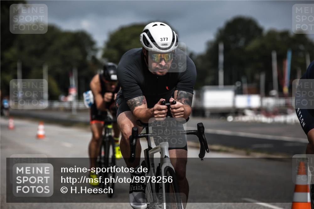 16.08.2026 - KN Förde Triathlon 2026 H.Heesch http://msf.ph/oto/9978256 16.08.2026 11:31:35 Radfahren 377, 395 meine-sportfotos.de