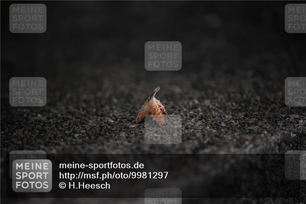 16.08.2026 - KN Förde Triathlon 2026 H.Heesch http://msf.ph/oto/9981297 16.08.2026 11:59:34 Radfahren  meine-sportfotos.de