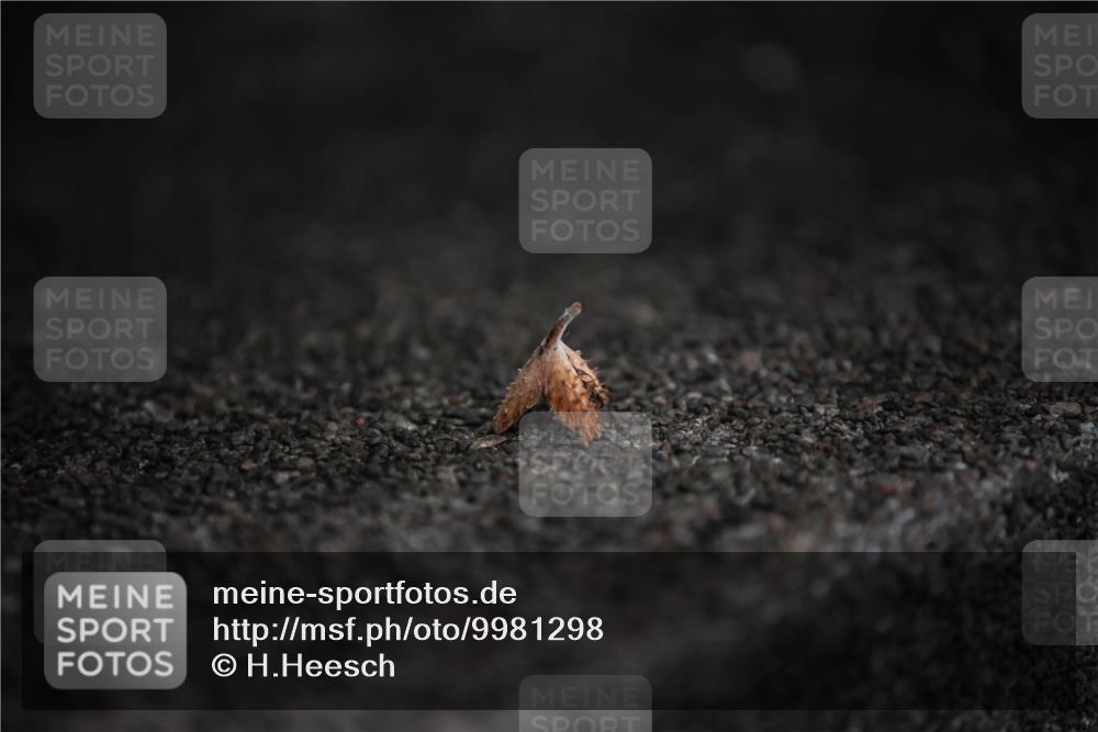 16.08.2026 - KN Förde Triathlon 2026 H.Heesch http://msf.ph/oto/9981298 16.08.2026 11:59:34 Radfahren  meine-sportfotos.de