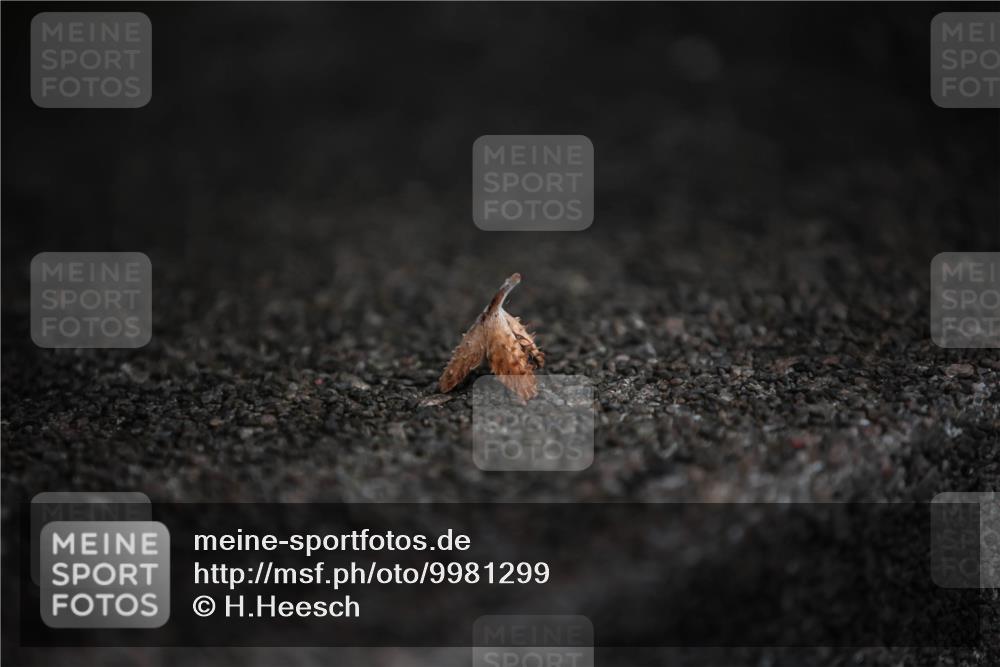 16.08.2026 - KN Förde Triathlon 2026 H.Heesch http://msf.ph/oto/9981299 16.08.2026 11:59:34 Radfahren  meine-sportfotos.de