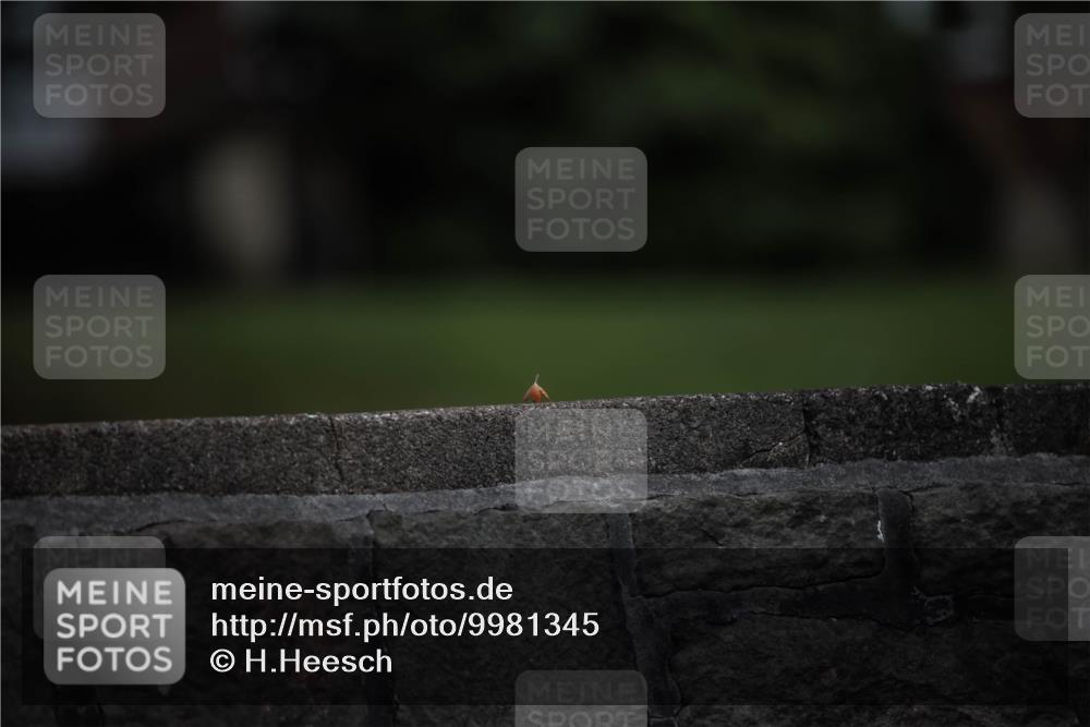 16.08.2026 - KN Förde Triathlon 2026 H.Heesch http://msf.ph/oto/9981345 16.08.2026 12:43:04 Radfahren  meine-sportfotos.de