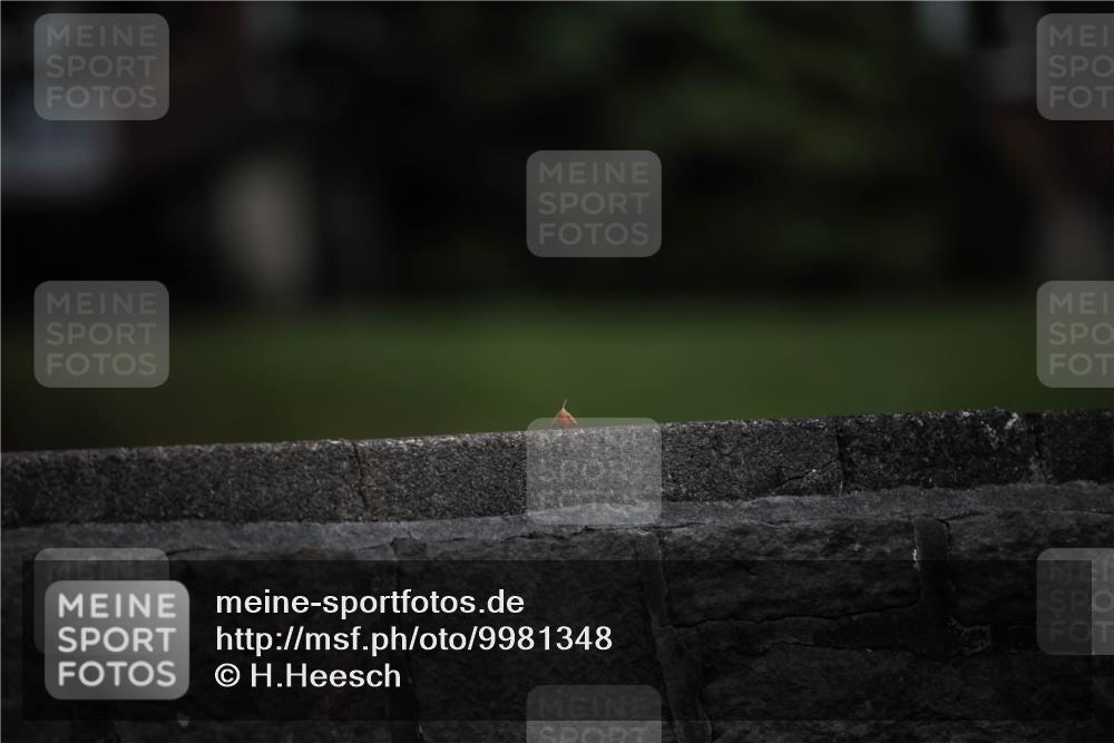 16.08.2026 - KN Förde Triathlon 2026 H.Heesch http://msf.ph/oto/9981348 16.08.2026 12:43:04 Radfahren  meine-sportfotos.de