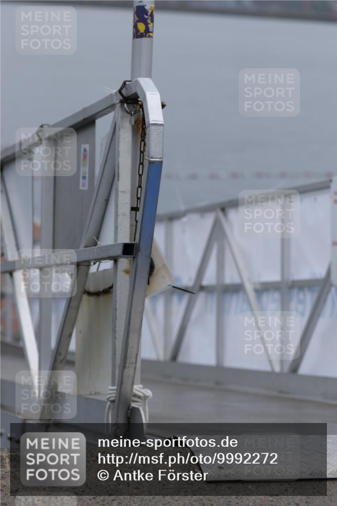 16.08.2026 - KN Förde Triathlon 2026 Antke Förster http://msf.ph/oto/9992272 16.08.2026 09:09:03 Schwimmen 109 meine-sportfotos.de
