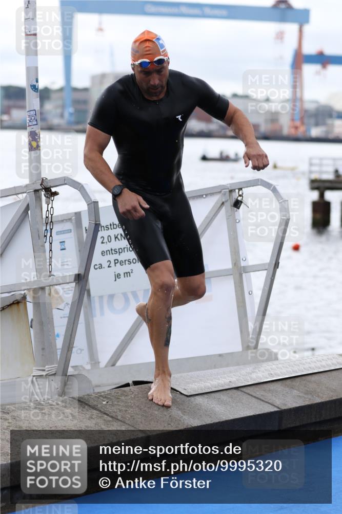 16.08.2026 - KN Förde Triathlon 2026 Antke Förster http://msf.ph/oto/9995320 16.08.2026 10:55:24 Schwimmen 221, 317, 320, 323, 320, 327, 329 meine-sportfotos.de