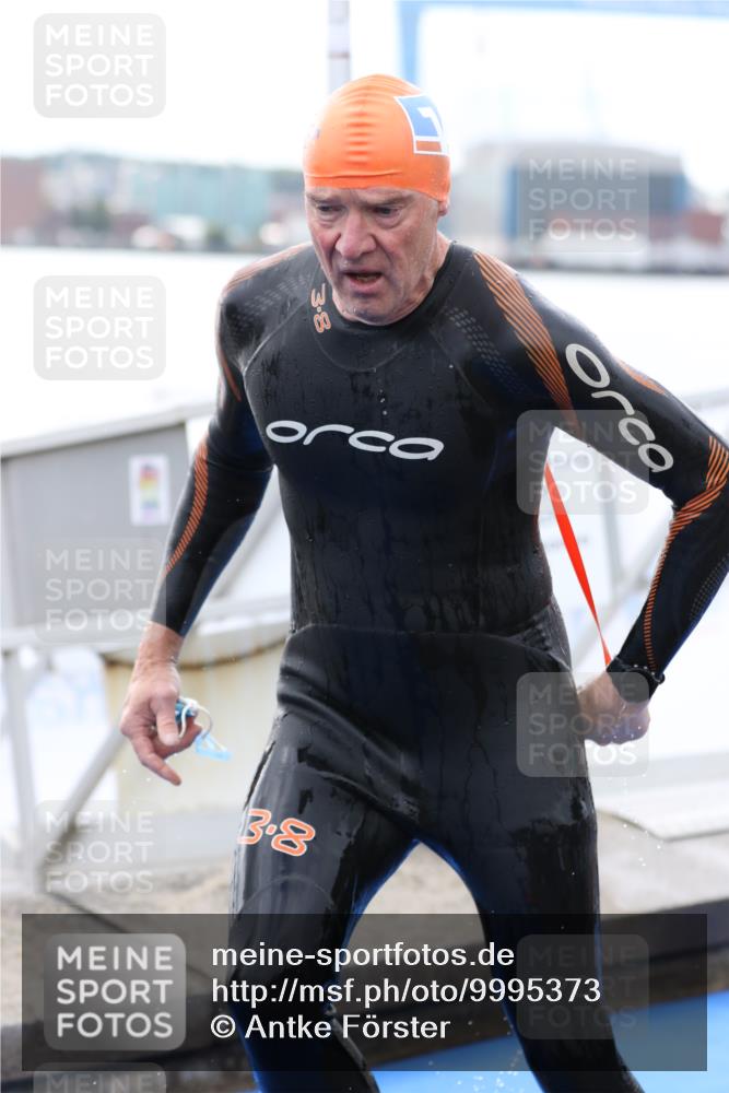 16.08.2026 - KN Förde Triathlon 2026 Antke Förster http://msf.ph/oto/9995373 16.08.2026 10:56:55 Schwimmen 337, 340, 343, 345 meine-sportfotos.de