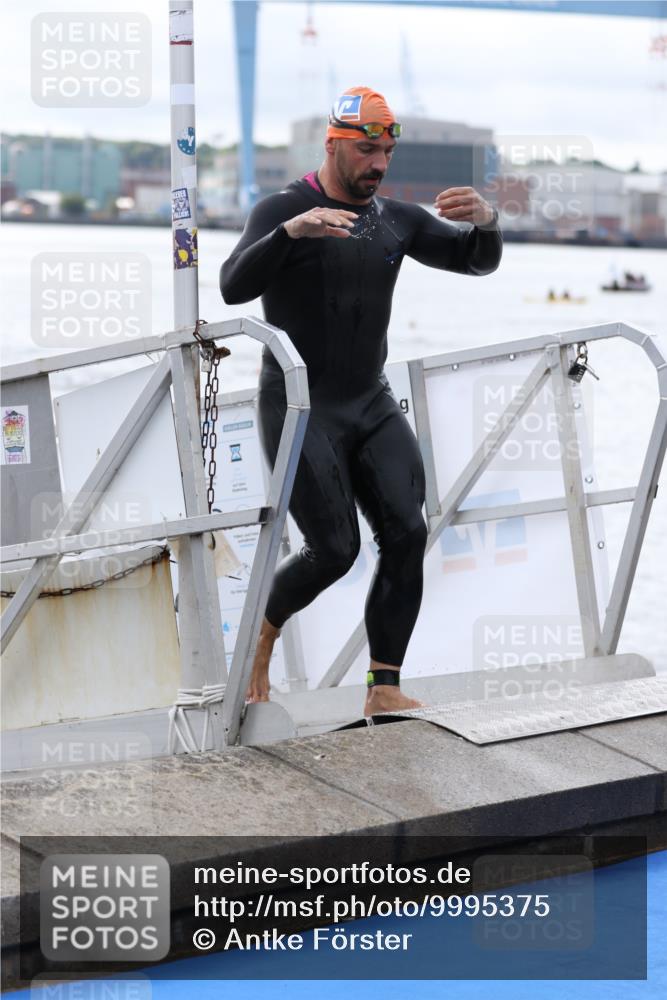 16.08.2026 - KN Förde Triathlon 2026 Antke Förster http://msf.ph/oto/9995375 16.08.2026 10:57:03 Schwimmen 337, 343, 306, 345 meine-sportfotos.de