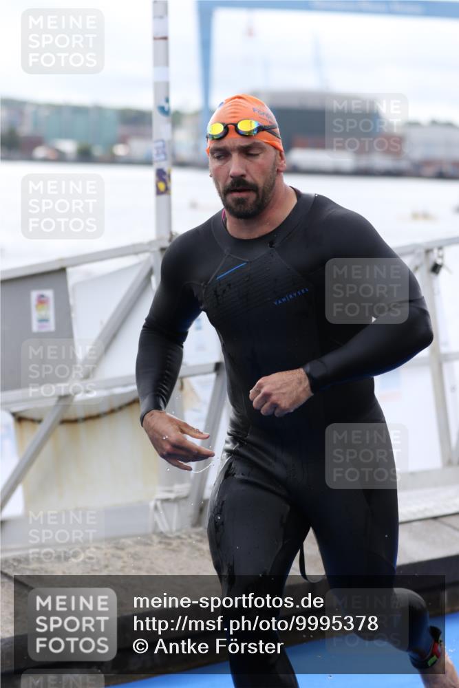 16.08.2026 - KN Förde Triathlon 2026 Antke Förster http://msf.ph/oto/9995378 16.08.2026 10:57:04 Schwimmen 337, 343, 345, 306, 345 meine-sportfotos.de