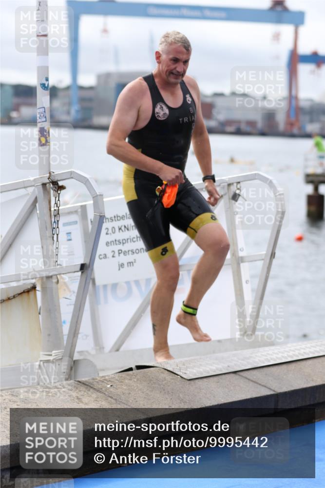 16.08.2026 - KN Förde Triathlon 2026 Antke Förster http://msf.ph/oto/9995442 16.08.2026 10:59:24 Schwimmen 328, 349, 371, 358, 804 meine-sportfotos.de