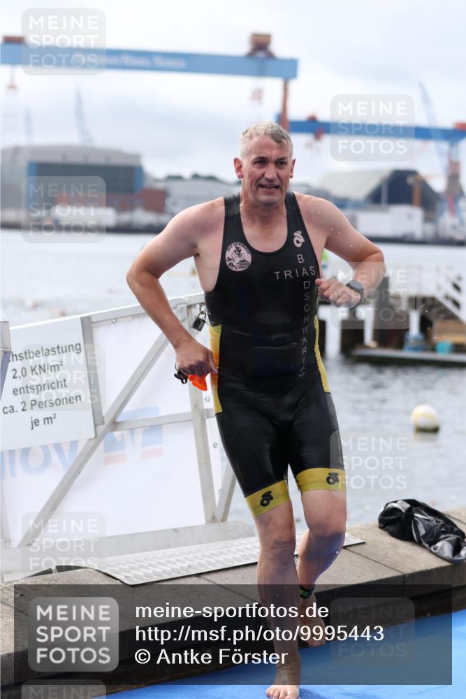 16.08.2026 - KN Förde Triathlon 2026 Antke Förster http://msf.ph/oto/9995443 16.08.2026 10:59:24 Schwimmen 328, 349, 371, 358, 804 meine-sportfotos.de