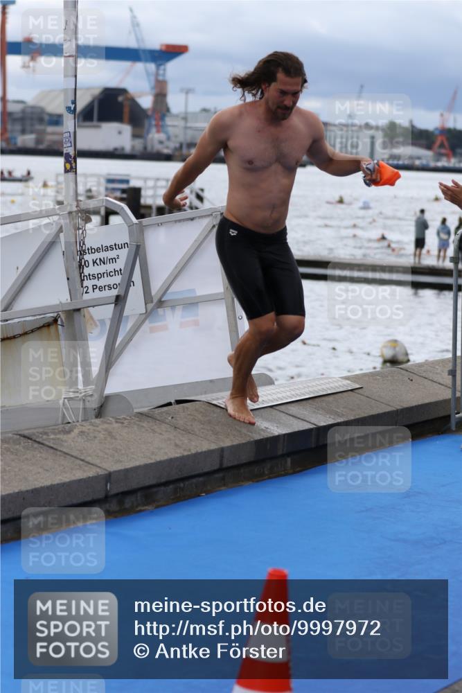 16.08.2026 - KN Förde Triathlon 2026 Antke Förster http://msf.ph/oto/9997972 16.08.2026 12:42:18 Schwimmen 524, 542, 533, 538, 547, 590 meine-sportfotos.de
