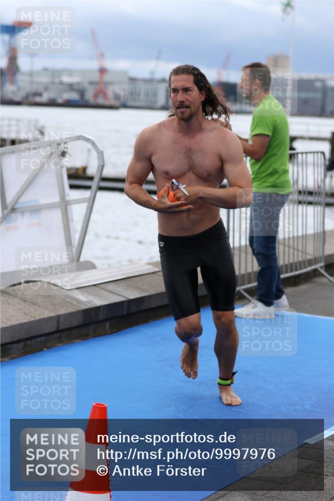 16.08.2026 - KN Förde Triathlon 2026 Antke Förster http://msf.ph/oto/9997976 16.08.2026 12:42:19 Schwimmen 524, 542, 590, 533, 538, 547, 590 meine-sportfotos.de