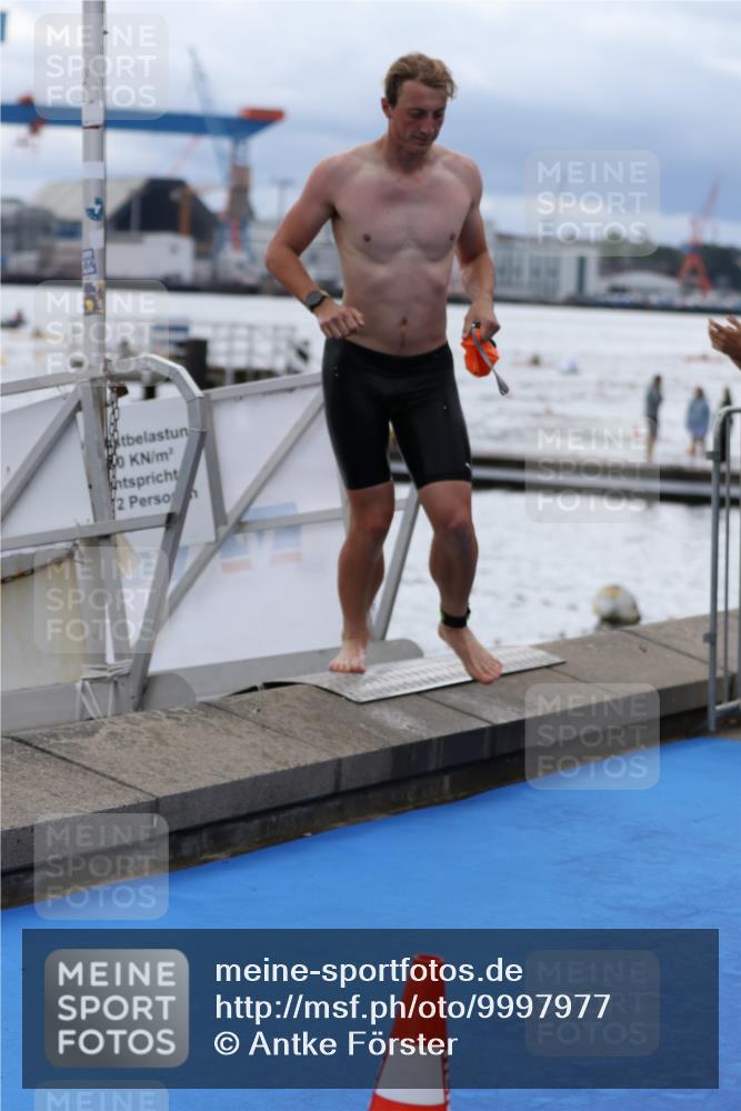 16.08.2026 - KN Förde Triathlon 2026 Antke Förster http://msf.ph/oto/9997977 16.08.2026 12:42:25 Schwimmen 542, 590, 533, 538, 547 meine-sportfotos.de