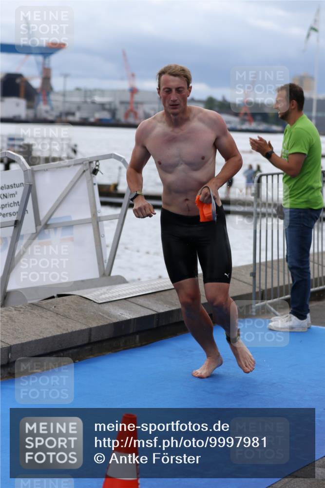 16.08.2026 - KN Förde Triathlon 2026 Antke Förster http://msf.ph/oto/9997981 16.08.2026 12:42:25 Schwimmen 542, 590, 533, 538, 547 meine-sportfotos.de