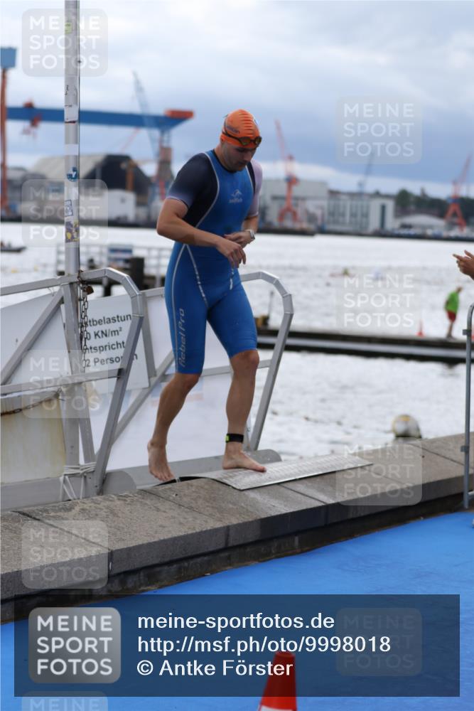 16.08.2026 - KN Förde Triathlon 2026 Antke Förster http://msf.ph/oto/9998018 16.08.2026 12:44:19 Schwimmen 532, 553, 575, 541, 544, 546, 548, 556, 558, 598 meine-sportfotos.de