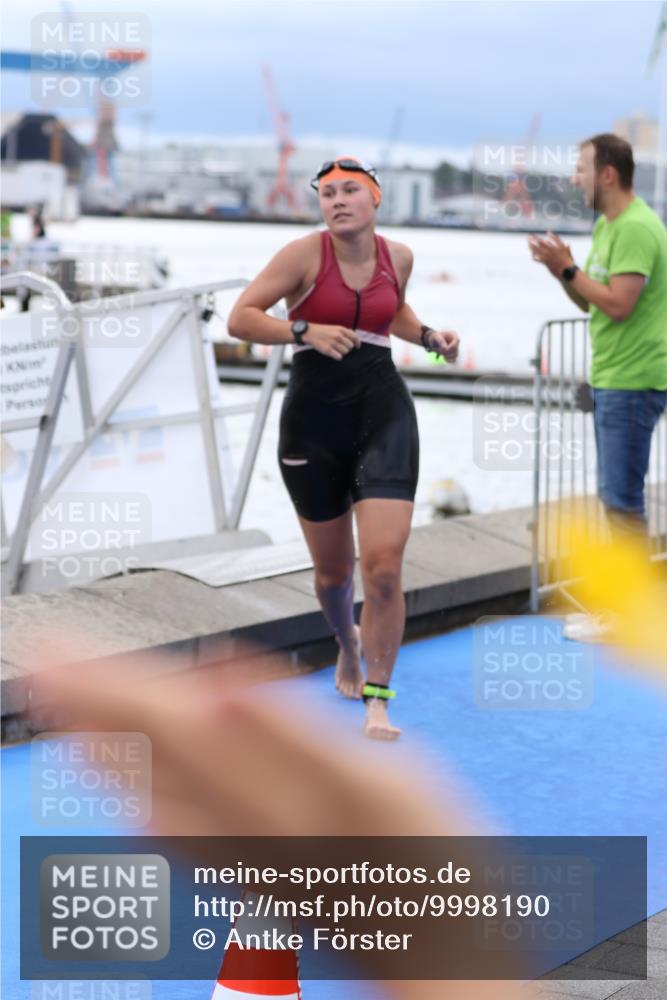 16.08.2026 - KN Förde Triathlon 2026 Antke Förster http://msf.ph/oto/9998190 16.08.2026 12:49:04 Schwimmen 196, 584, 612, 576, 719 meine-sportfotos.de