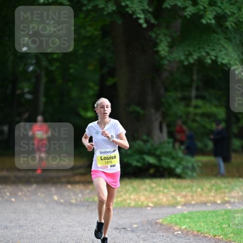 30.08.2026 - Blankeneser Heldenlauf Dr. Thomas Lammeyer http://msf.ph/oto/10009091 30.08.2026 09:26:47 Laufen 1375 meine-sportfotos.de