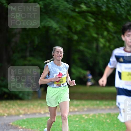 30.08.2026 - Blankeneser Heldenlauf Dr. Thomas Lammeyer http://msf.ph/oto/10009177 30.08.2026 09:27:49 Laufen 1941, 1800 meine-sportfotos.de