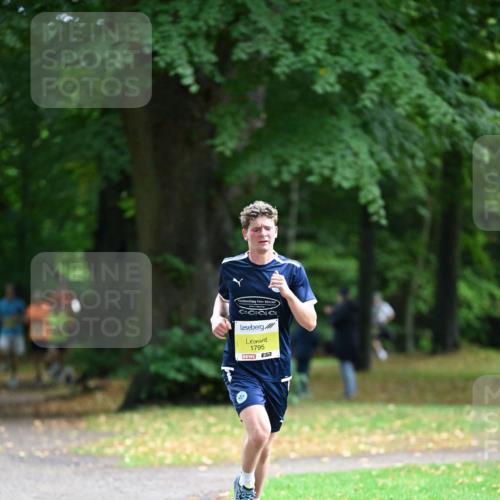 30.08.2026 - Blankeneser Heldenlauf Dr. Thomas Lammeyer http://msf.ph/oto/10009390 30.08.2026 09:29:33 Laufen 1795 meine-sportfotos.de