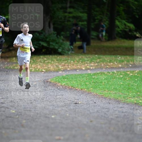 30.08.2026 - Blankeneser Heldenlauf Dr. Thomas Lammeyer http://msf.ph/oto/10009510 30.08.2026 09:30:02 Laufen 1106 meine-sportfotos.de