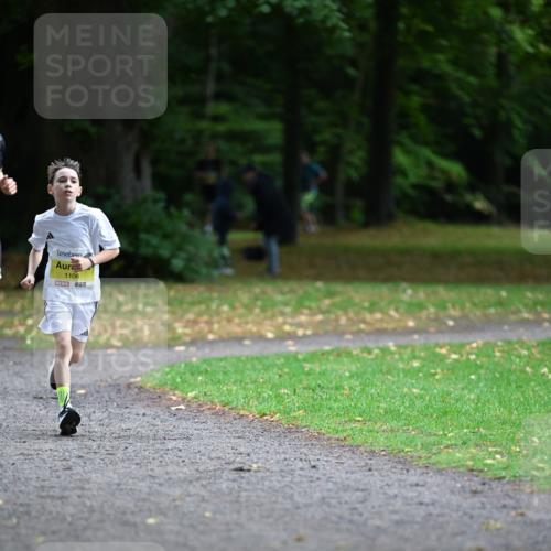 30.08.2026 - Blankeneser Heldenlauf Dr. Thomas Lammeyer http://msf.ph/oto/10009513 30.08.2026 09:30:02 Laufen 1106 meine-sportfotos.de