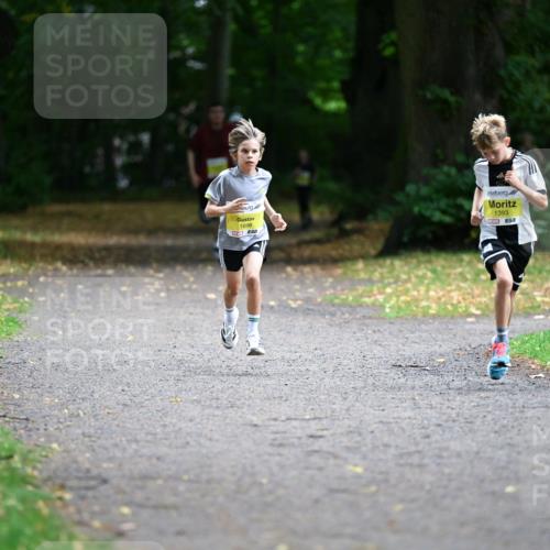 30.08.2026 - Blankeneser Heldenlauf Dr. Thomas Lammeyer http://msf.ph/oto/10009627 30.08.2026 09:30:36 Laufen 1696, 1393 meine-sportfotos.de