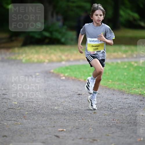 30.08.2026 - Blankeneser Heldenlauf Dr. Thomas Lammeyer http://msf.ph/oto/10009643 30.08.2026 09:30:39 Laufen 1696, 1393 meine-sportfotos.de