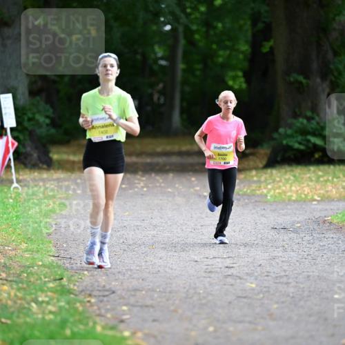 30.08.2026 - Blankeneser Heldenlauf Dr. Thomas Lammeyer http://msf.ph/oto/10009746 30.08.2026 09:31:08 Laufen 1402, 1700, 51 meine-sportfotos.de