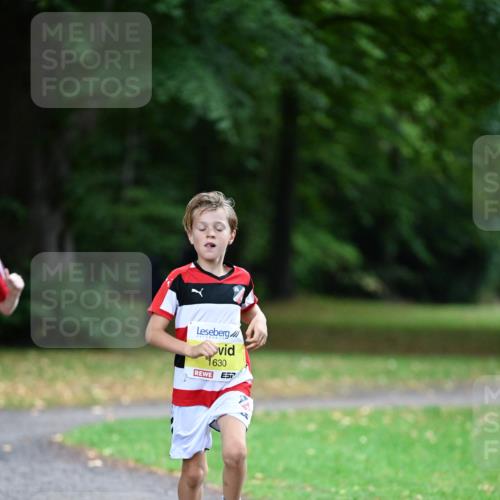 30.08.2026 - Blankeneser Heldenlauf Dr. Thomas Lammeyer http://msf.ph/oto/10009981 30.08.2026 09:32:45 Laufen 1630 meine-sportfotos.de
