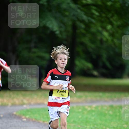 30.08.2026 - Blankeneser Heldenlauf Dr. Thomas Lammeyer http://msf.ph/oto/10009982 30.08.2026 09:32:45 Laufen 1630 meine-sportfotos.de