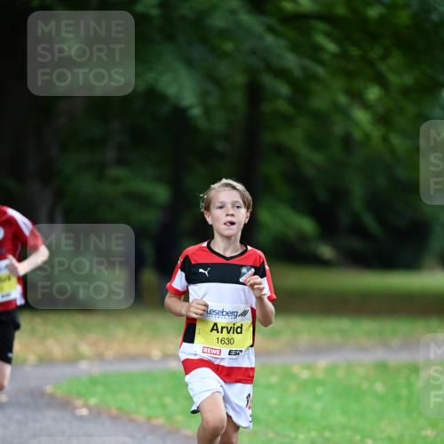 30.08.2026 - Blankeneser Heldenlauf Dr. Thomas Lammeyer http://msf.ph/oto/10009983 30.08.2026 09:32:45 Laufen 1630 meine-sportfotos.de