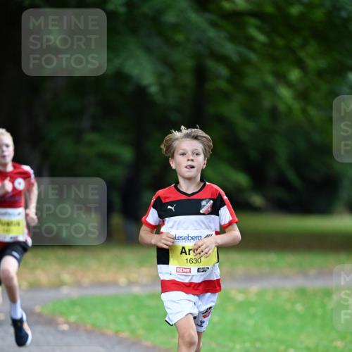 30.08.2026 - Blankeneser Heldenlauf Dr. Thomas Lammeyer http://msf.ph/oto/10009984 30.08.2026 09:32:45 Laufen 93, 1630 meine-sportfotos.de