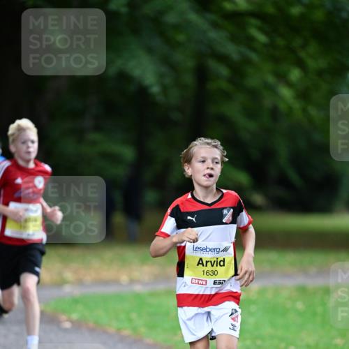 30.08.2026 - Blankeneser Heldenlauf Dr. Thomas Lammeyer http://msf.ph/oto/10009985 30.08.2026 09:32:45 Laufen 1630 meine-sportfotos.de