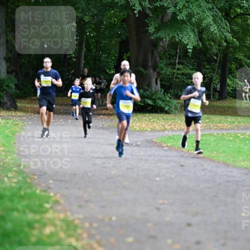 30.08.2026 - Blankeneser Heldenlauf Dr. Thomas Lammeyer http://msf.ph/oto/10010166 30.08.2026 09:33:44 Laufen  meine-sportfotos.de