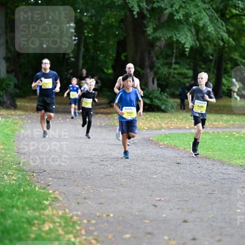 30.08.2026 - Blankeneser Heldenlauf Dr. Thomas Lammeyer http://msf.ph/oto/10010168 30.08.2026 09:33:44 Laufen 1707 meine-sportfotos.de