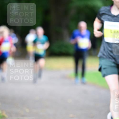 30.08.2026 - Blankeneser Heldenlauf Dr. Thomas Lammeyer http://msf.ph/oto/10010420 30.08.2026 09:34:38 Laufen  meine-sportfotos.de