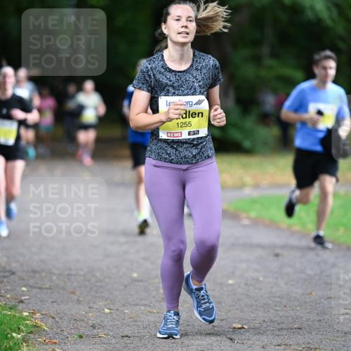 30.08.2026 - Blankeneser Heldenlauf Dr. Thomas Lammeyer http://msf.ph/oto/10010442 30.08.2026 09:34:44 Laufen 1255 meine-sportfotos.de