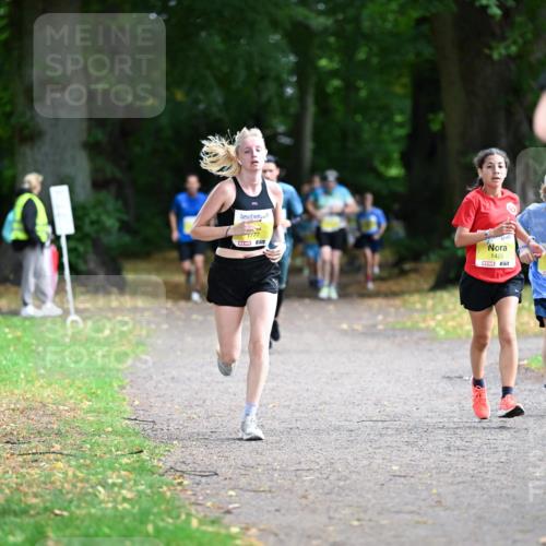 30.08.2026 - Blankeneser Heldenlauf Dr. Thomas Lammeyer http://msf.ph/oto/10010589 30.08.2026 09:35:18 Laufen 77, 1425, 1663 meine-sportfotos.de