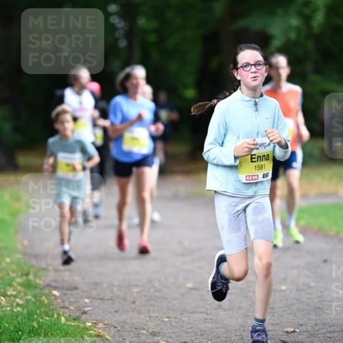 30.08.2026 - Blankeneser Heldenlauf Dr. Thomas Lammeyer http://msf.ph/oto/10010699 30.08.2026 09:35:39 Laufen 1581 meine-sportfotos.de