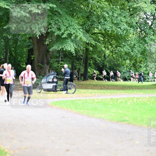 30.08.2026 - Blankeneser Heldenlauf Dr. Thomas Lammeyer http://msf.ph/oto/10011554 30.08.2026 09:38:21 Laufen  meine-sportfotos.de