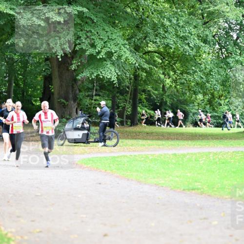 30.08.2026 - Blankeneser Heldenlauf Dr. Thomas Lammeyer http://msf.ph/oto/10011556 30.08.2026 09:38:22 Laufen  meine-sportfotos.de