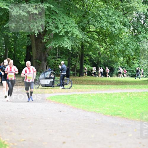 30.08.2026 - Blankeneser Heldenlauf Dr. Thomas Lammeyer http://msf.ph/oto/10011557 30.08.2026 09:38:22 Laufen  meine-sportfotos.de
