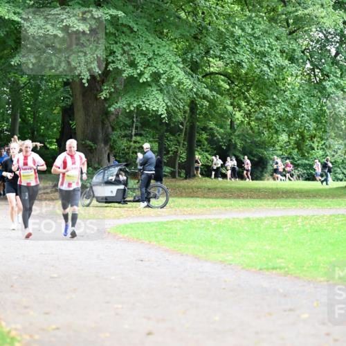30.08.2026 - Blankeneser Heldenlauf Dr. Thomas Lammeyer http://msf.ph/oto/10011558 30.08.2026 09:38:22 Laufen  meine-sportfotos.de