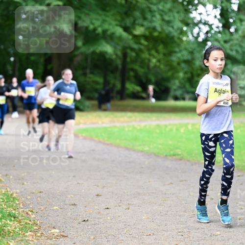 30.08.2026 - Blankeneser Heldenlauf Dr. Thomas Lammeyer http://msf.ph/oto/10012262 30.08.2026 09:40:27 Laufen  meine-sportfotos.de