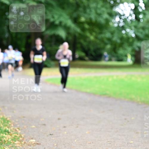 30.08.2026 - Blankeneser Heldenlauf Dr. Thomas Lammeyer http://msf.ph/oto/10012321 30.08.2026 09:40:35 Laufen  meine-sportfotos.de
