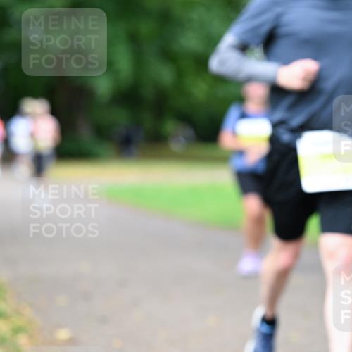 30.08.2026 - Blankeneser Heldenlauf Dr. Thomas Lammeyer http://msf.ph/oto/10012488 30.08.2026 09:41:00 Laufen  meine-sportfotos.de