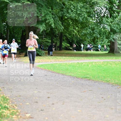 30.08.2026 - Blankeneser Heldenlauf Dr. Thomas Lammeyer http://msf.ph/oto/10012496 30.08.2026 09:41:02 Laufen  meine-sportfotos.de
