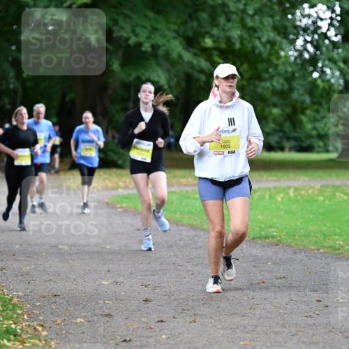 30.08.2026 - Blankeneser Heldenlauf Dr. Thomas Lammeyer http://msf.ph/oto/10012640 30.08.2026 09:41:29 Laufen 1803 meine-sportfotos.de